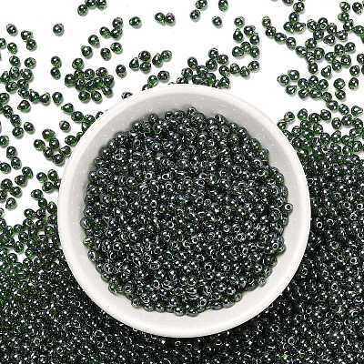 MIYUKI 3.4mm Drop Beads SEED-MY04-DP395-1