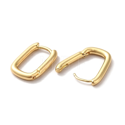 Brass Rectangle Hoop Earrings for Women ZIRC-Q201-28G-1