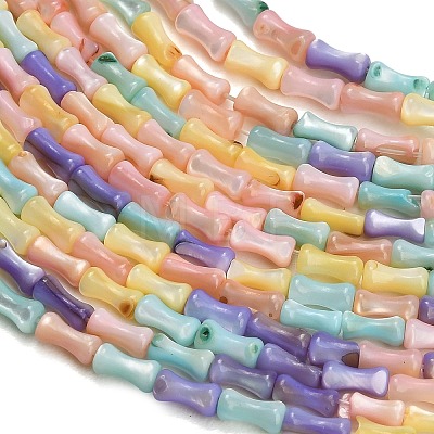 Natural Freshwater Shell Beads Strands SH-CBA93AD-04-1