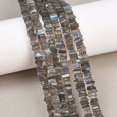 Natural Labradorite Beads Strands G-Z152-F04-02-1