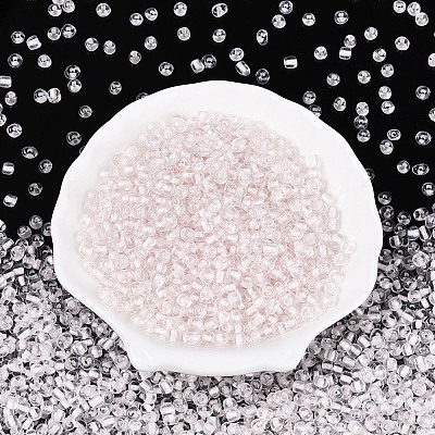 Glass Seed Beads SEED-T007-10D-1