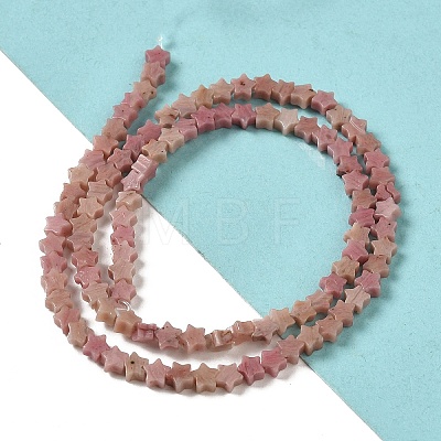 Natural Rhodonite Beads Strands G-G085-B34-01-1