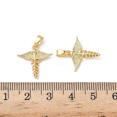 Brass Pendants KK-I371-18G-1