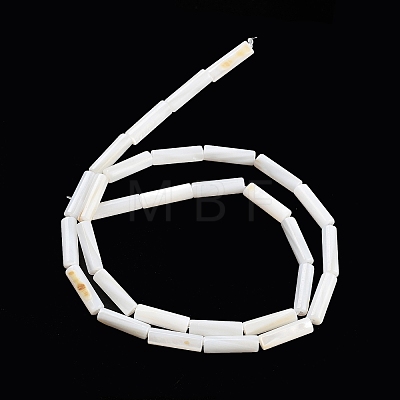 Freshwater Shell Beads Strands X-BSHE-L037-13-1