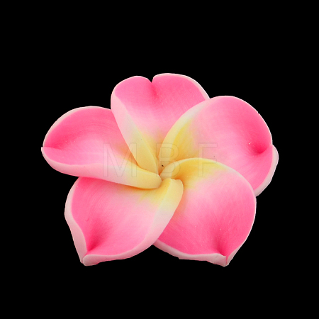 Handmade Polymer Clay 3D Flower Plumeria Beads CLAY-Q192-30mm-10-1