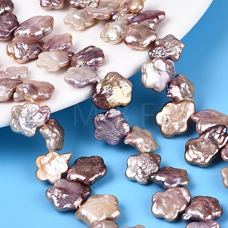 Natural Baroque Keshi Pearl Beads Strands PEAR-S020-A04-01-1