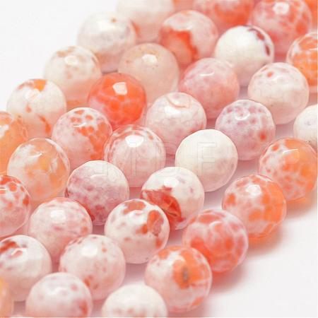 Faceted Natural Fire Crackle Agate Beads Strands G-F447-8mm-B03-1