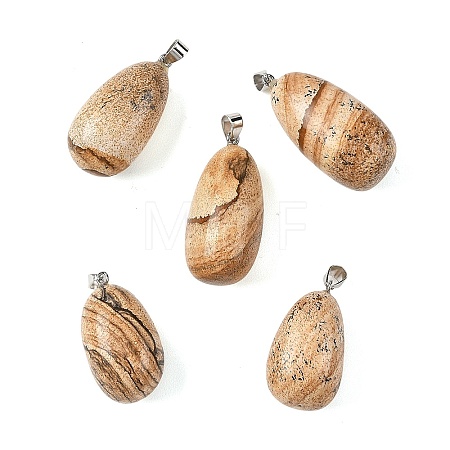 Natural Picture Jasper Tumbled Stone Pendants GG-K002-06F-1