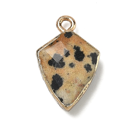 Natural Dalmatian Jasper Pendants G-K422-01G-03-1