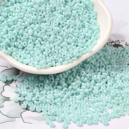 Baking Paint Glass Seed Beads SEED-P006-03A-29-1