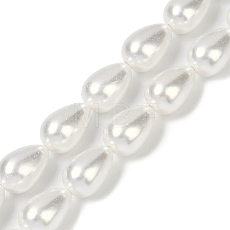 Electroplate Shell Pearl Beads Strands BSHE-O019-05-1