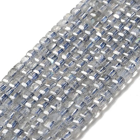 Natural Labradorite Beads Strands X-G-D470-07-1