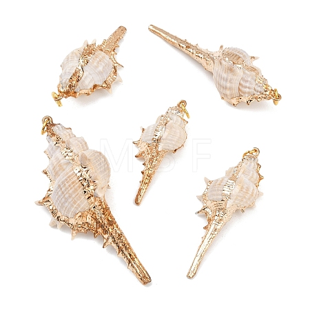 5Pcs Electroplated Natural Shell Pendants BSHE-YW0001-11-1
