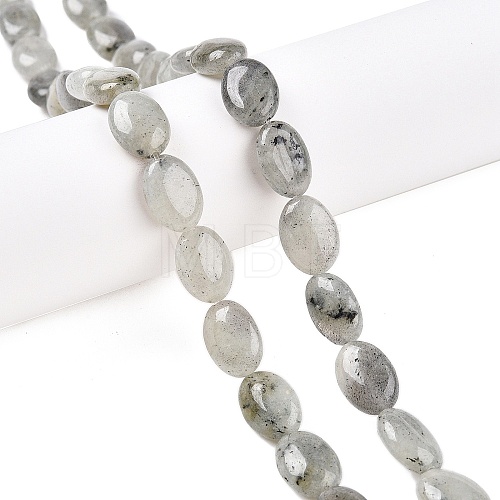 Natural Labradorite Beads Strands G-M206-42-1