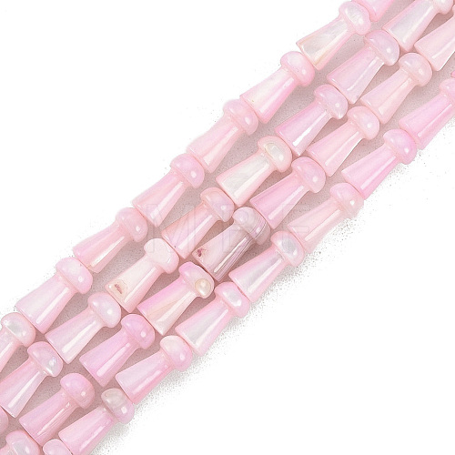 Natural Freshwater Shell Beads Strands SHEL-G013-02G-1