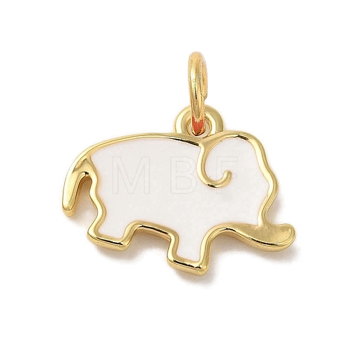 Rack Plating Brass Enamel Charms KK-L220-024G-01-1