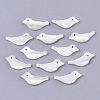 Natural Trochid Shell/Trochus Shell Beads SSHEL-T014-05-1