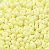 Baking Paint Glass Seed Beads X1-SEED-B001-02A-13-3