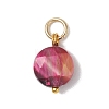 Dyed Natural Tiger Eye Faceted Hexagonal Cut Pendants PALLOY-JF04800-02-3
