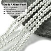 Eco-Friendly Glass Pearl Beads GLAA-S173-5mm-01-2