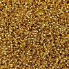 MIYUKI Delica Beads SEED-MY11-DB2157-3
