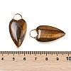 Natural Tiger Eye Pendants G-G193-02G-10-3