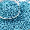 8/0 Baking Paint Glass Seed Beads X1-SEED-M012-02A-46-1