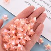 Transparent Acrylic Beads TACR-S152-02D-SS2109-5