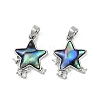 Natural Paua Shell Star Pendants KK-U043-22P-01-1