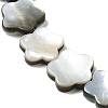 Natural Black Lip Shell Beads Strands SHEL-M021-02B-3