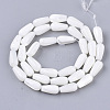 Natural Trochid Shell/Trochus Shell Beads Strands SSHEL-N032-04-2