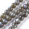 Natural Labradorite Round Bead Strands G-I156-01-10mm-3