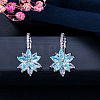 Brass Cubic Zirconia Hoop Earrings WGBE890-06-1