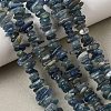 Natural Kyanite/Cyanite/Disthene Chip Beads Strands G-E271-78-9