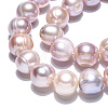Natural Cultured Freshwater Pearl Beads Strands PEAR-N013-10B-5