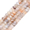 Natural Botswana Agate Beads Strands G-C259-A21-5x8mm-2