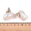 20Pcs Electroplated Natural Sea Shell Pendants SSHEL-PH0001-53-3