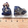 Natural Sodalite Carved Figurines DJEW-L023-B27-3