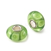 Lampwork & Brass Core European Beads LAMP-P019-01P-20-2