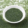 MIYUKI Round Rocailles Beads SEED-X0054-RR0350-2