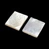 Carved Natural White Shell Cabochons SSHEL-N038-07-01-2