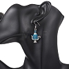 Glass Seed Beaded Dangle Earrings EJEW-MZ00703-5