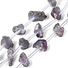 Electroplate Raw Rough Natural Amethyst Beads Strands G-Q610-06D-2