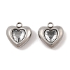 304 Stainless Steel Micro Pave Cubic Zirconia Charms STAS-S131-17P-04-1