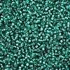 11/0 Grade A Transparent Glass Seed Beads X-SEED-Q007-F50-2