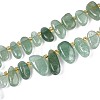 Natural Green Strawberry Quartz Beads Strands G-Z091-A32-4