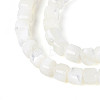 Natural Trochid Shell/Trochus Shell Beads Strands SSHEL-N041-04A-01-3