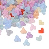 Frosted Transparent Acrylic Beads SACR-T362-01B-1