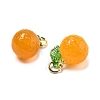 Dyed Natural Agate Orange Charms X-G-U025-07G-3