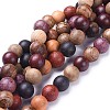 Natural Wood Beads Strands X-WOOD-F008-07-C-1